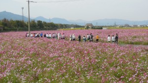 DSCN0663